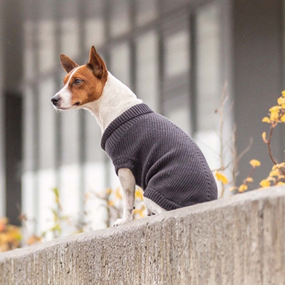 Trixie Citystyle Berlin Stickad Tröja För Hunden i Färgen Antracit